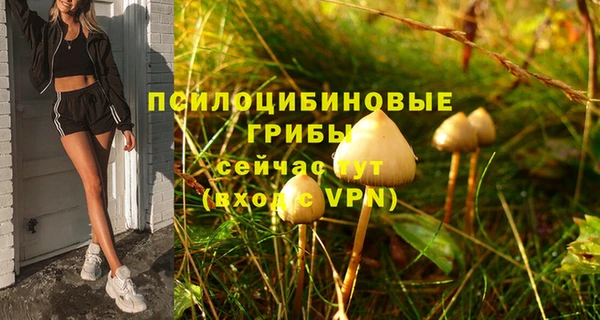 соль ск Горняк