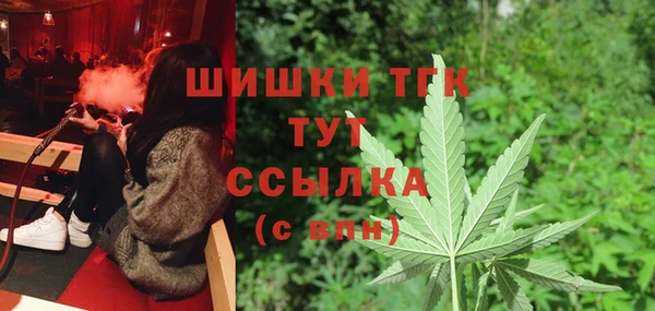 спиды Горно-Алтайск