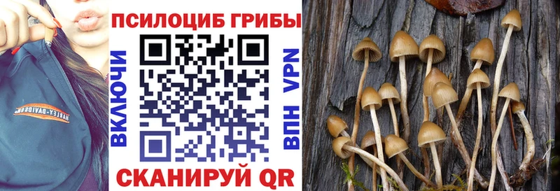 Галлюциногенные грибы Magic Shrooms Гусь-Хрустальный